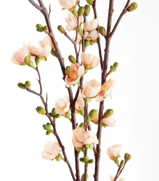 Peach Quince Blossom Branches Bundle of 2
