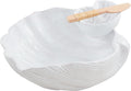 Figural Shell Chip And Dip