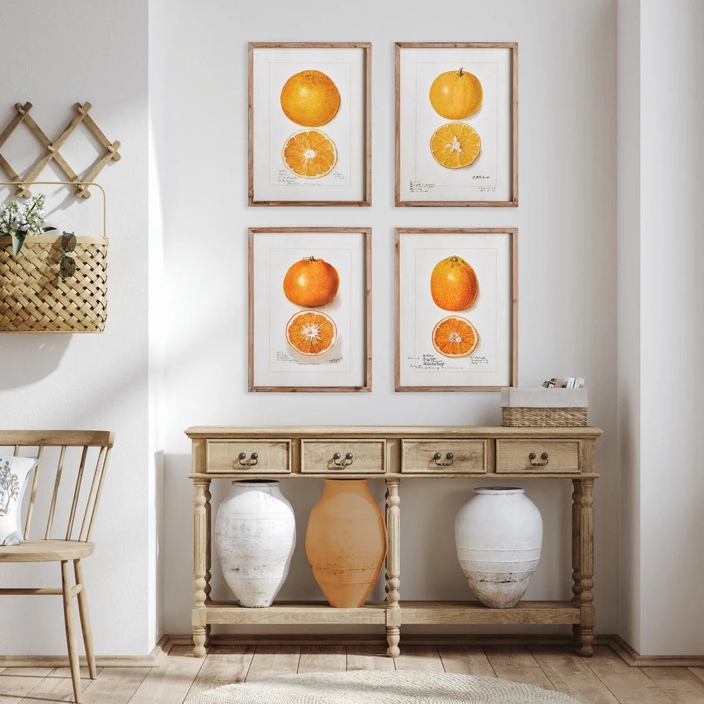 Citrus Study Art