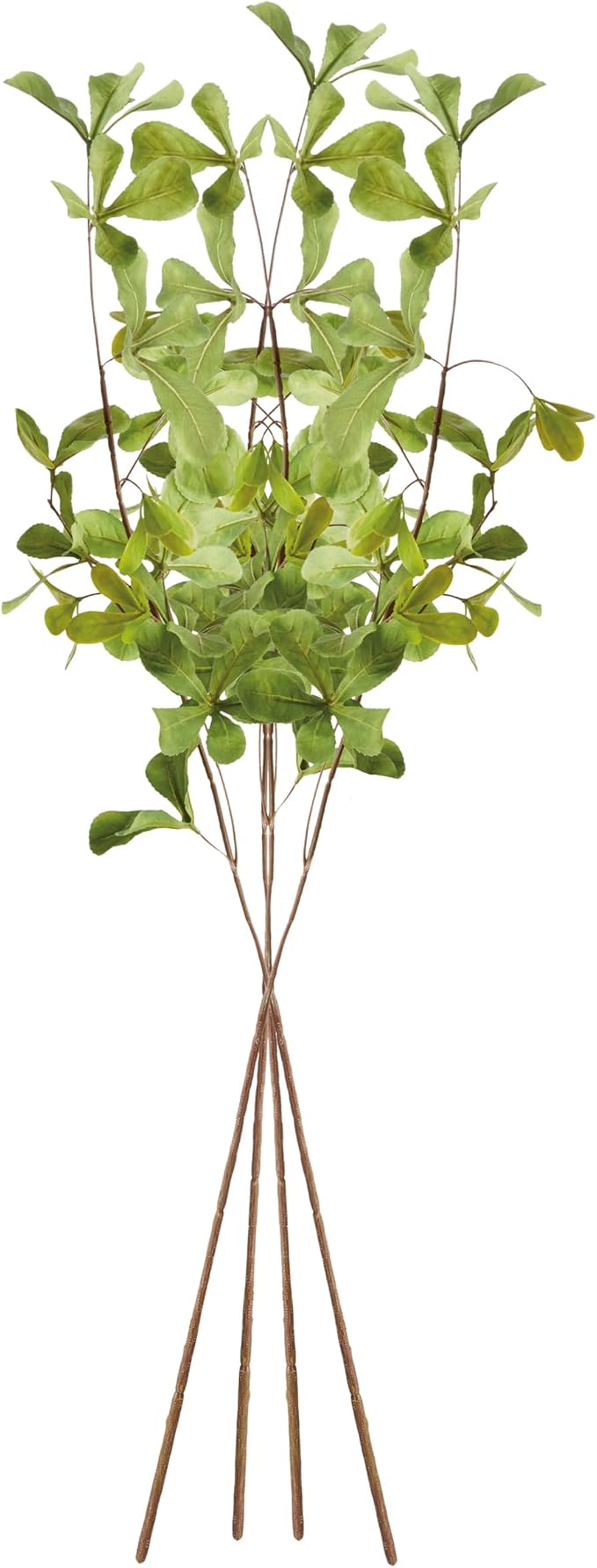 Shady Lady Black Olive Stems 28", Set of 4