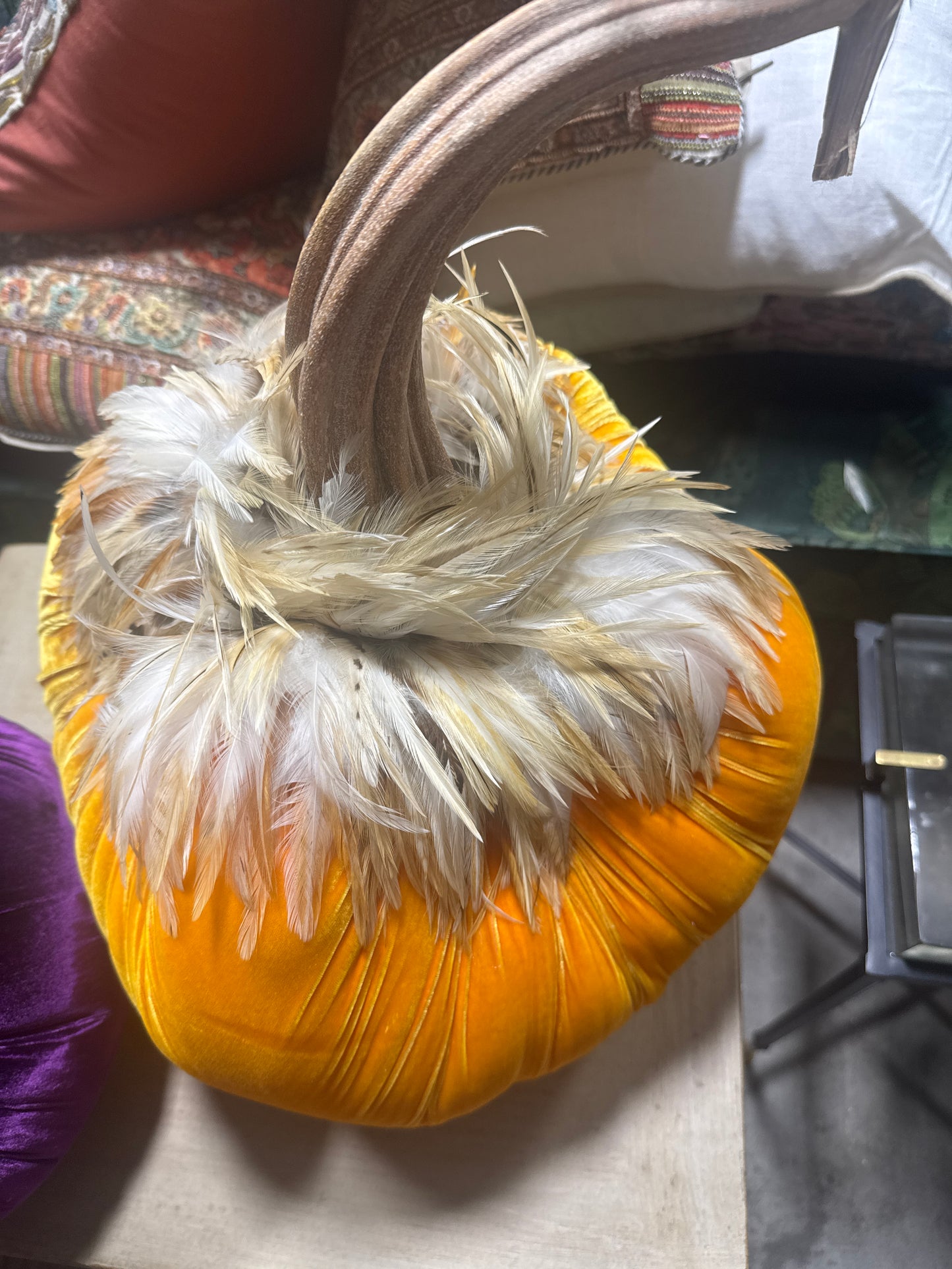 Luca Velvet Pumpkin w/ Feather Collar