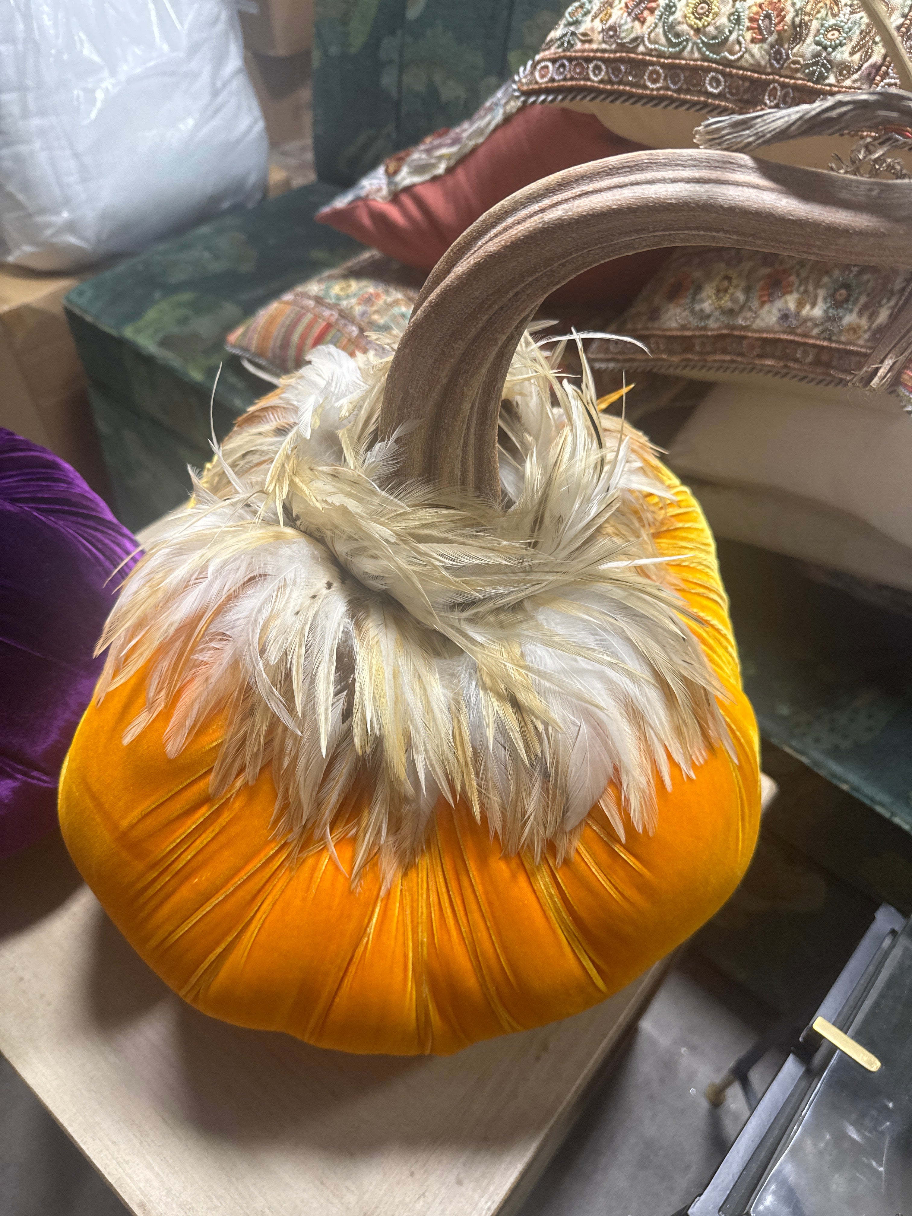 Luca Velvet Pumpkin w/ Feather Collar