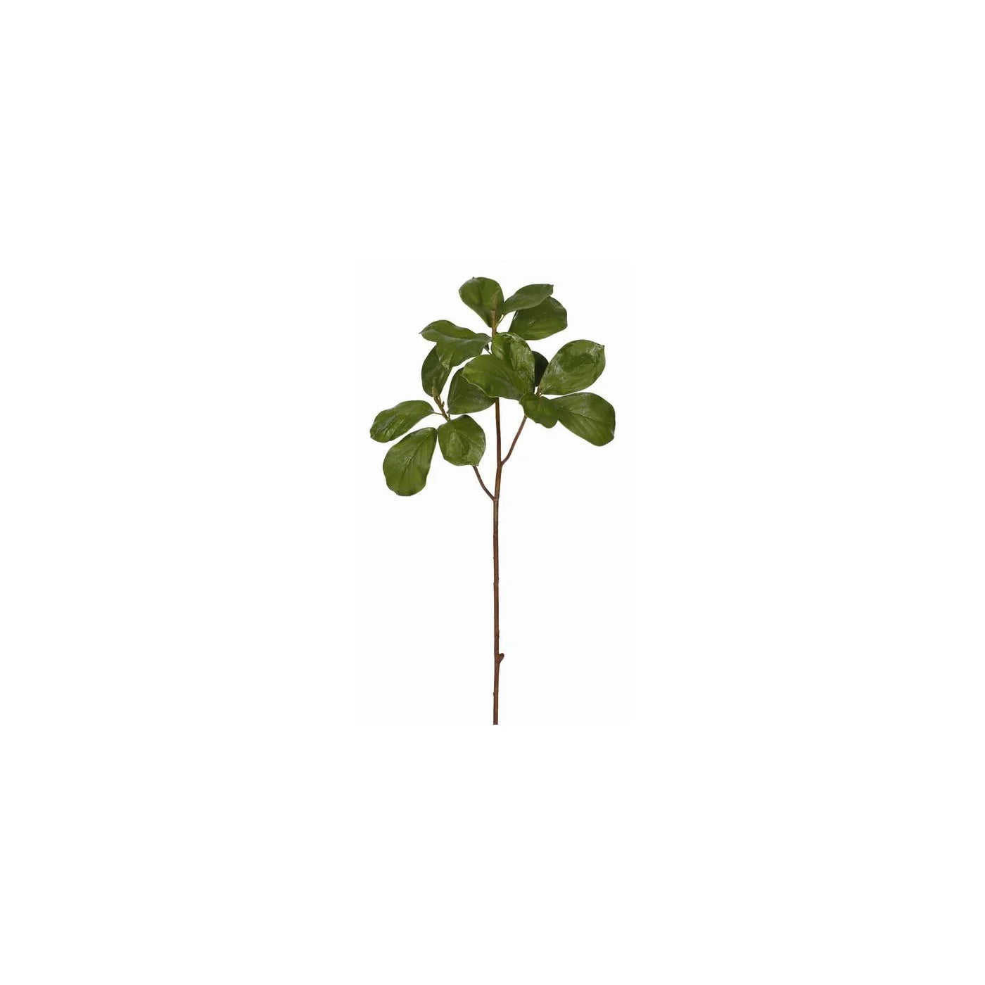 Leaf Tree Magnolia Branch 28''