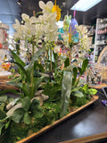 Triple Mini Orchid Wood Plant Decor