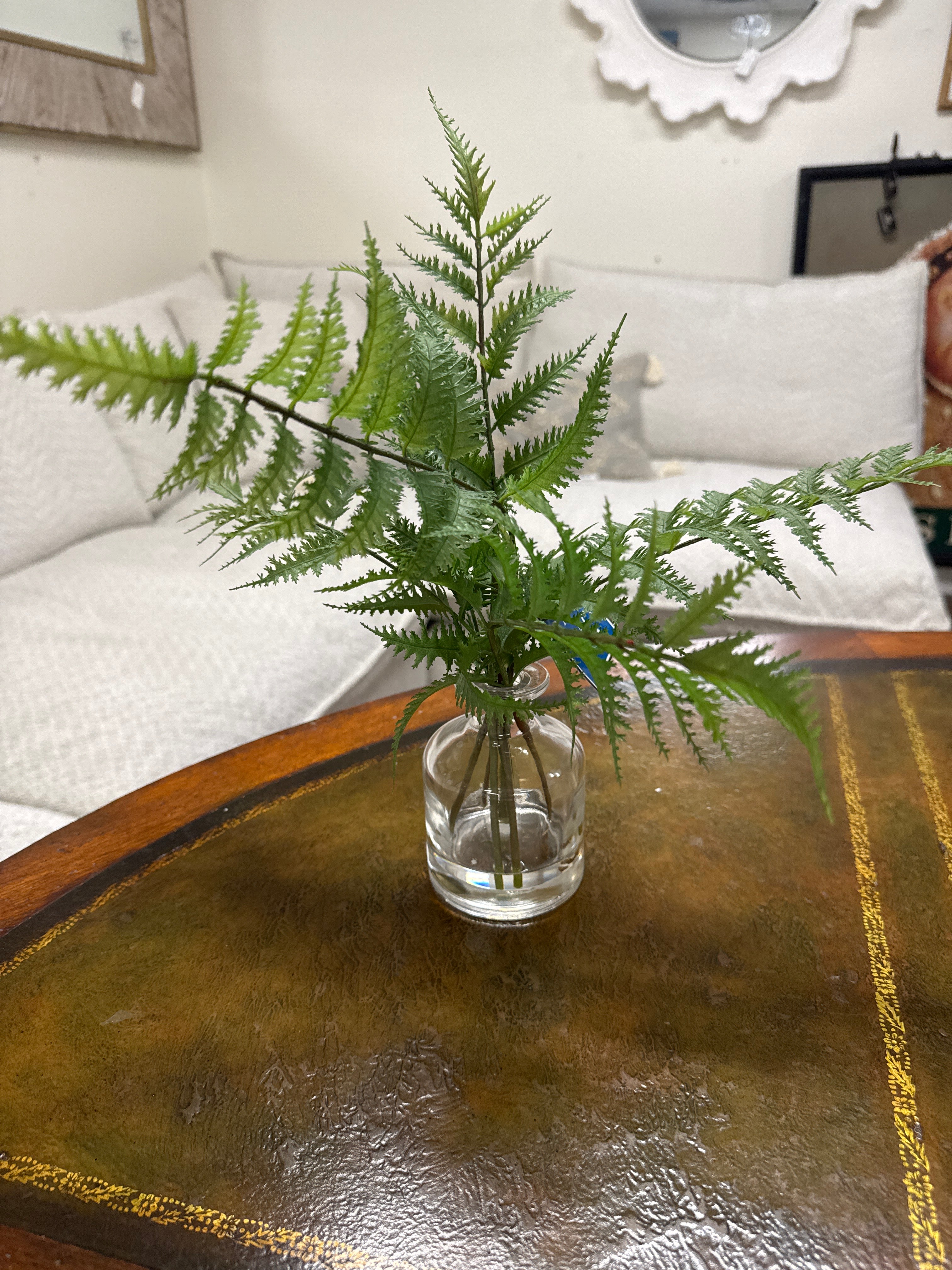 Forest Fern in Glass Vase