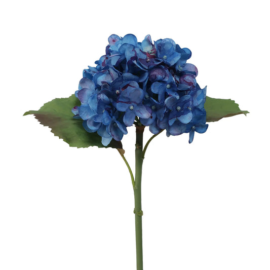 Hydrangea Water Color Blue