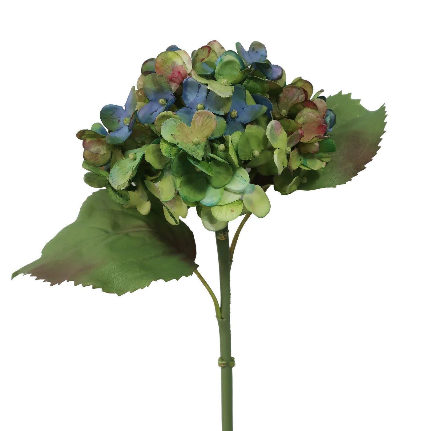 Hydrangea Water Color 20''