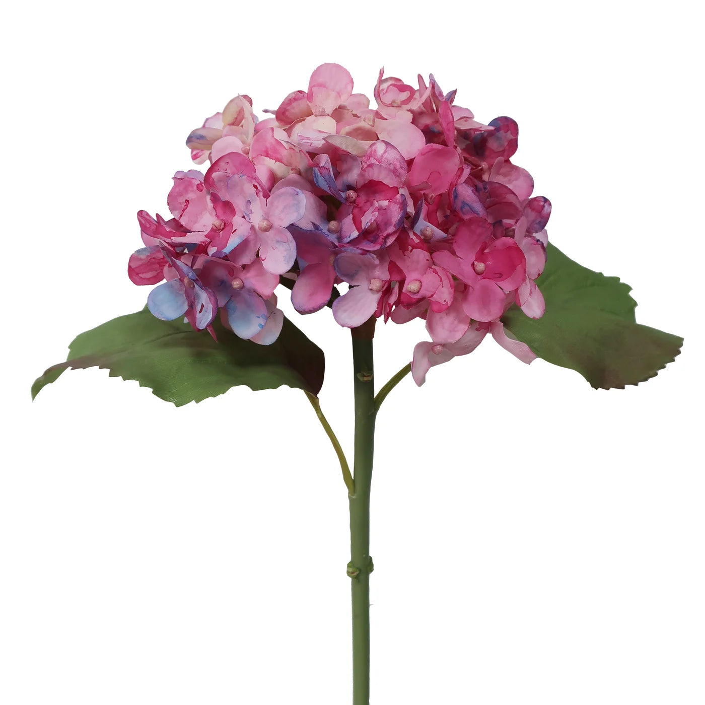 Pink Hydrangea Water Color 20''