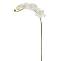 Orchid Phalaenopsis 31"