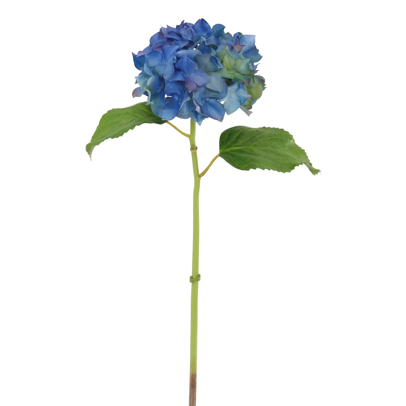 Blue Hydrangea 18.5"