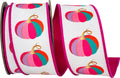 Fuchsia Pumpkin Ribbon 2.5"