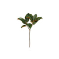 Magnolia Leaf 25"