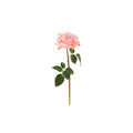 Pink Rose Westminster 20.5"