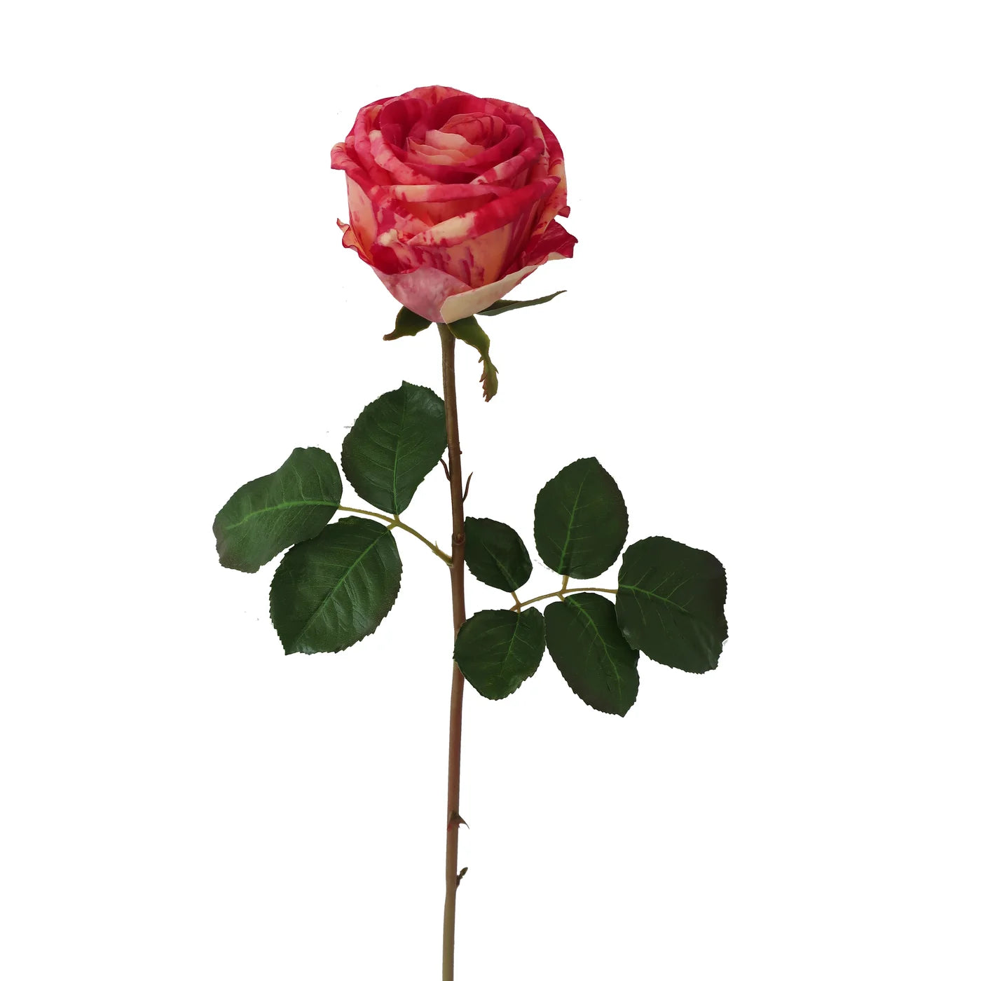 Peach & Red Candy Stripe Rose Bud 20.5"