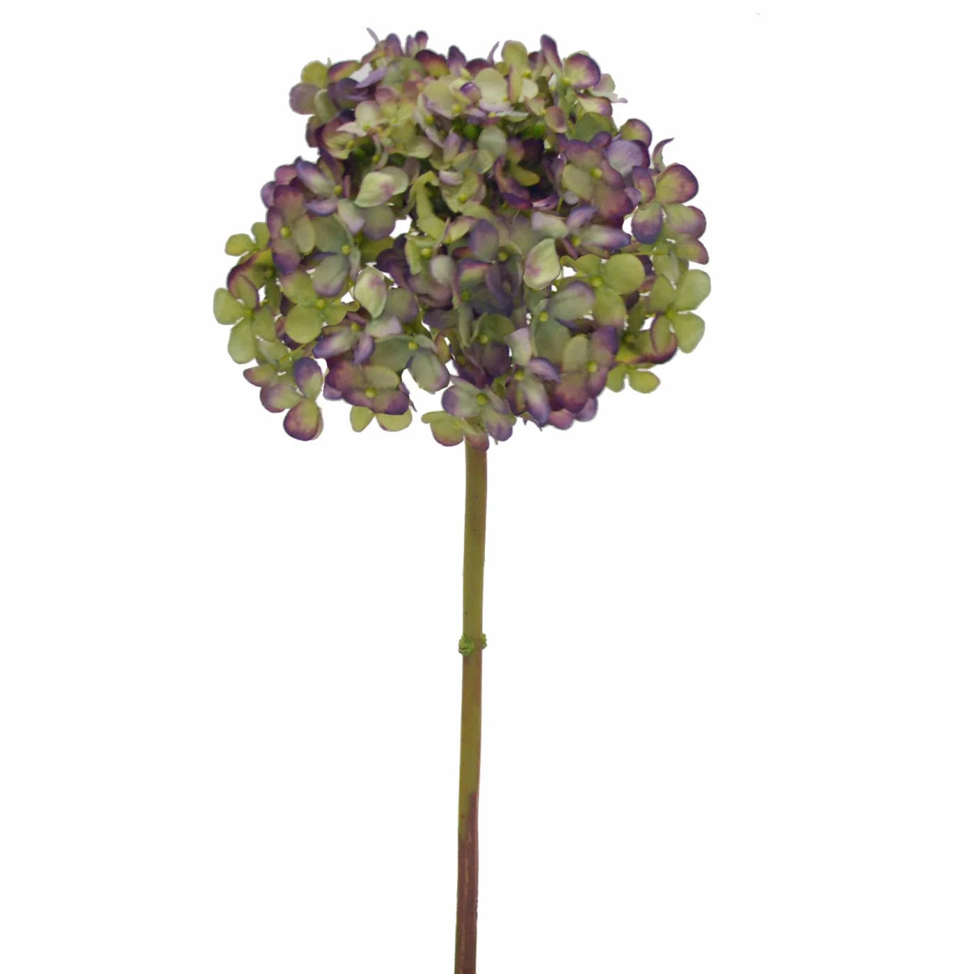 Eggplant Hydrangea 18"
