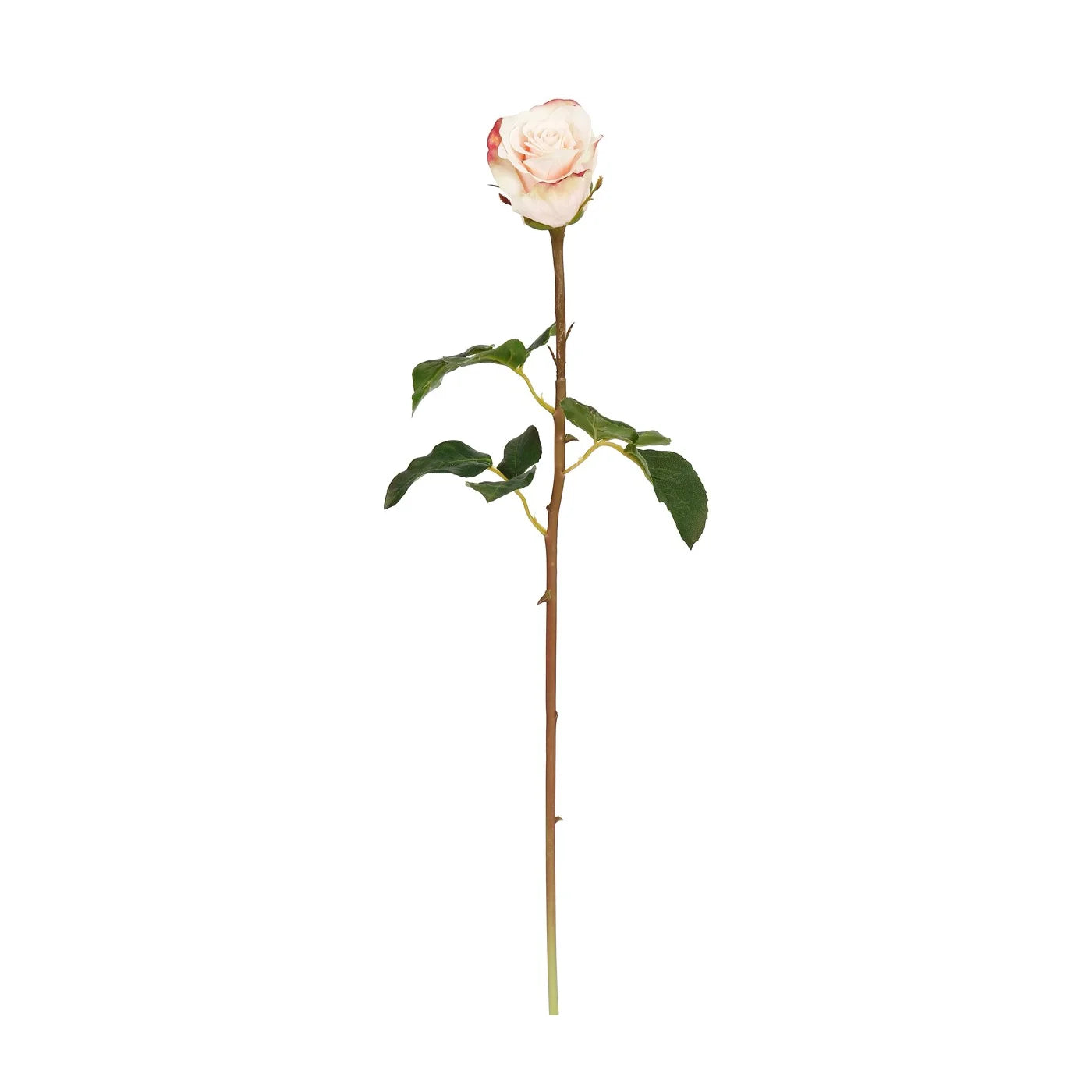 Light Pink Rose Bud 20"