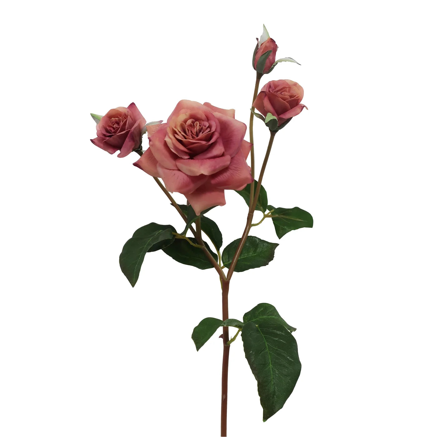 Dusty Mauve Beatrix Rose 24"