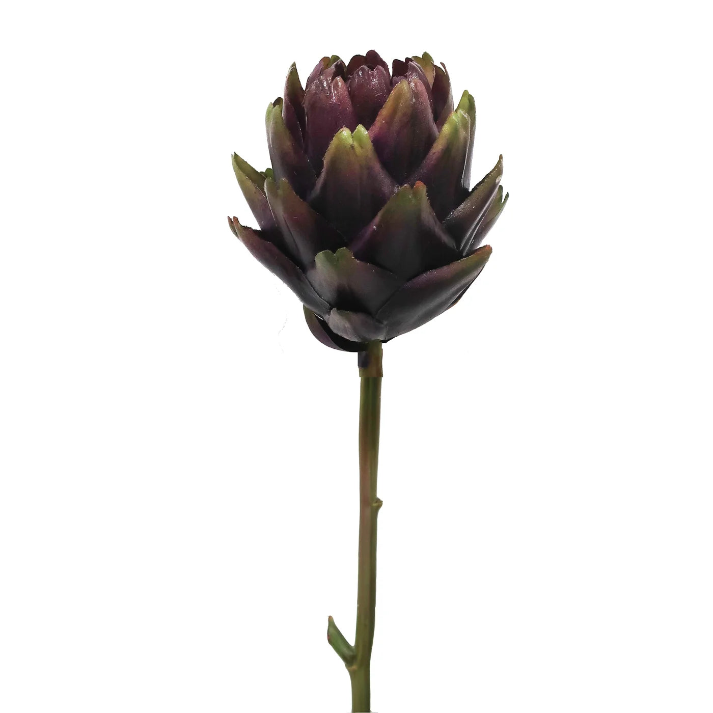 Artichoke Pick 23.5"