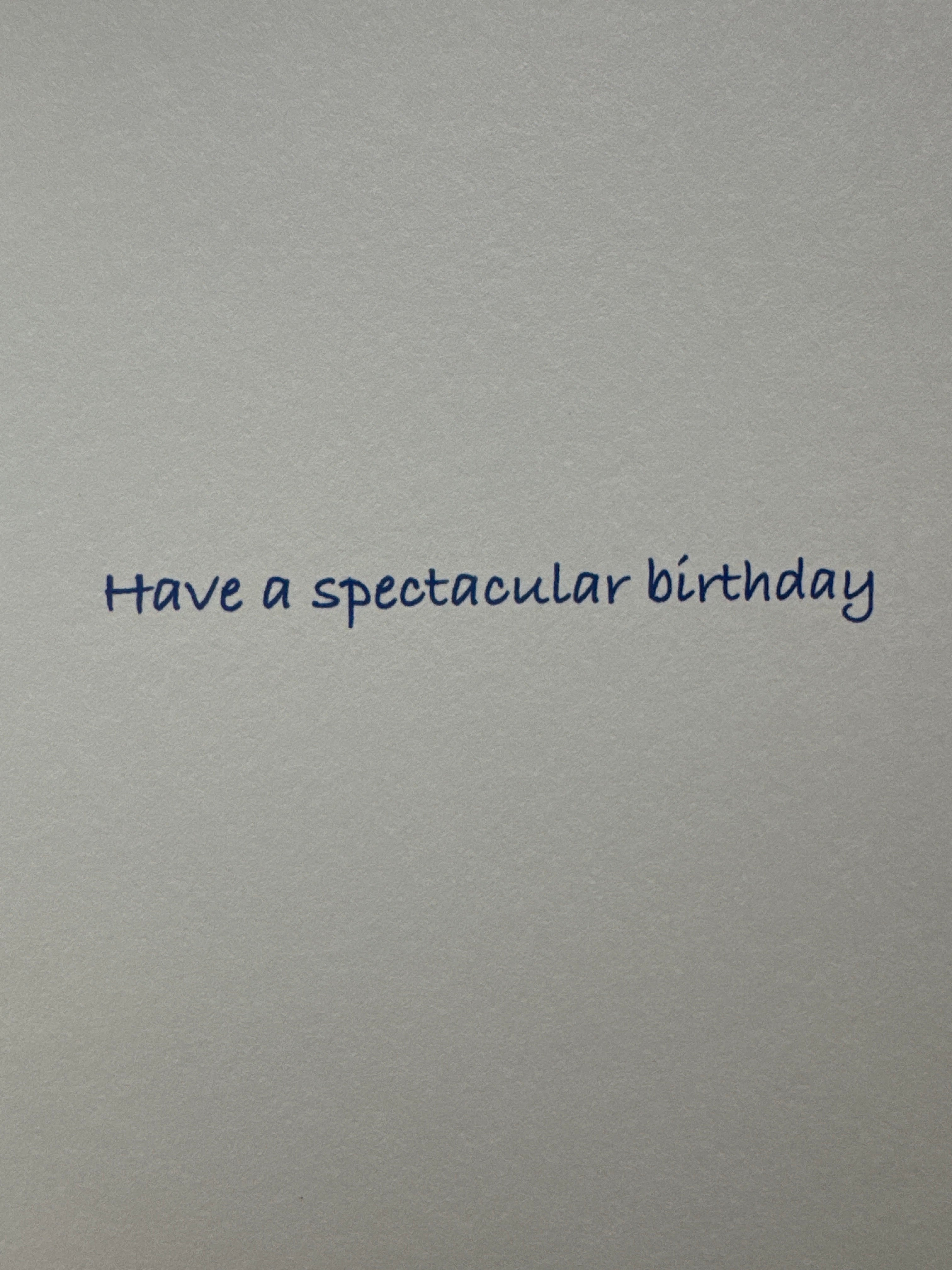 Swan Pool Float Birthday Card