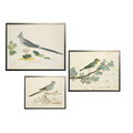 Petite Blue Bird Print