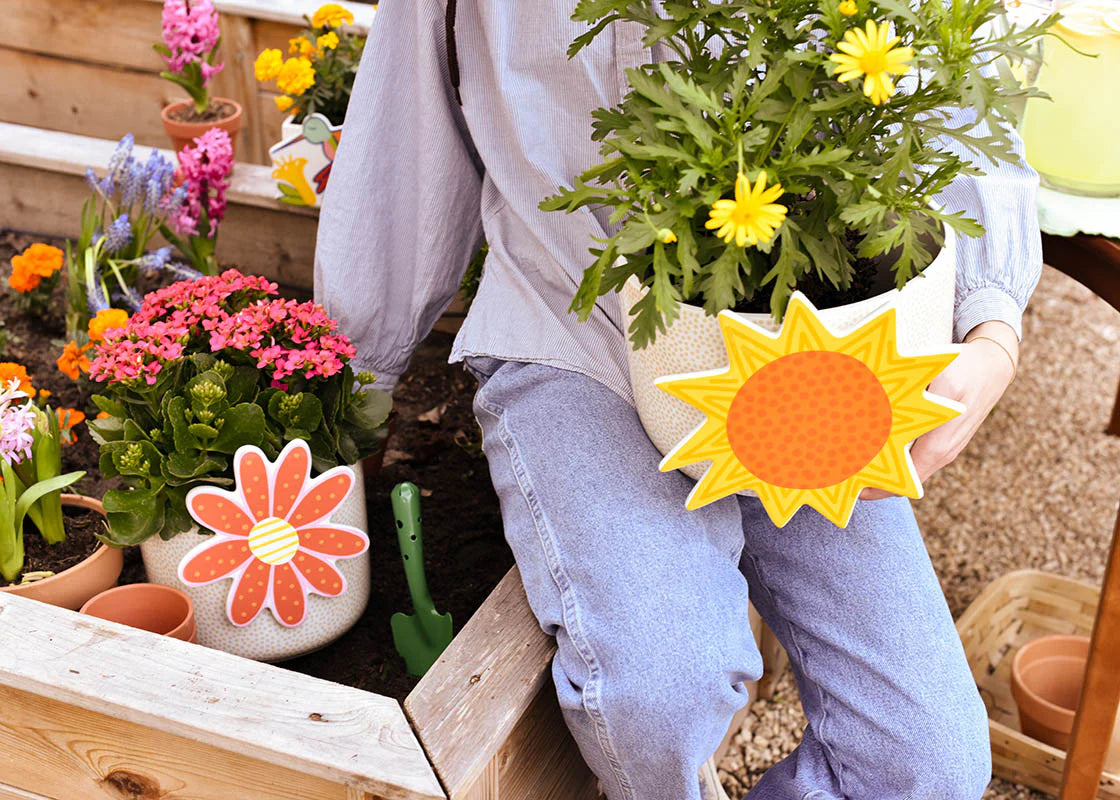 Daisy Flower Big Attachment