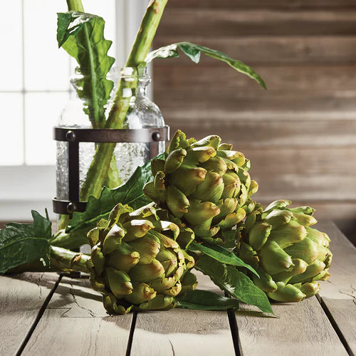 Artichoke 25" Stem