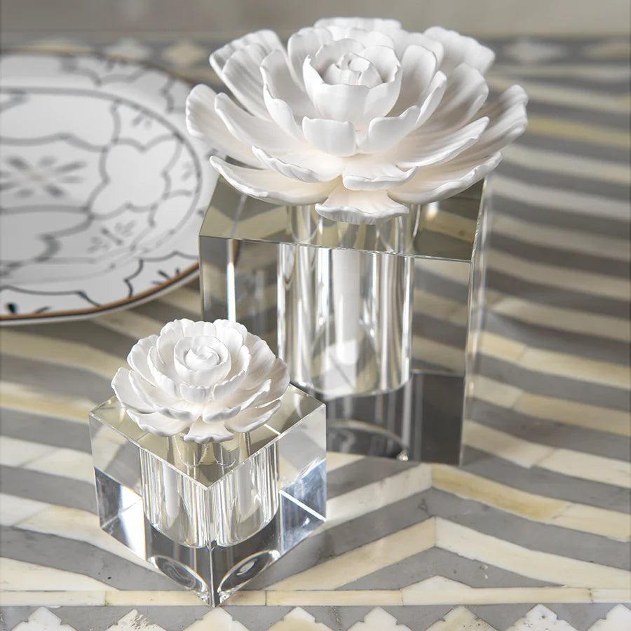 White Rose Modena Large Diffuser Gift Set