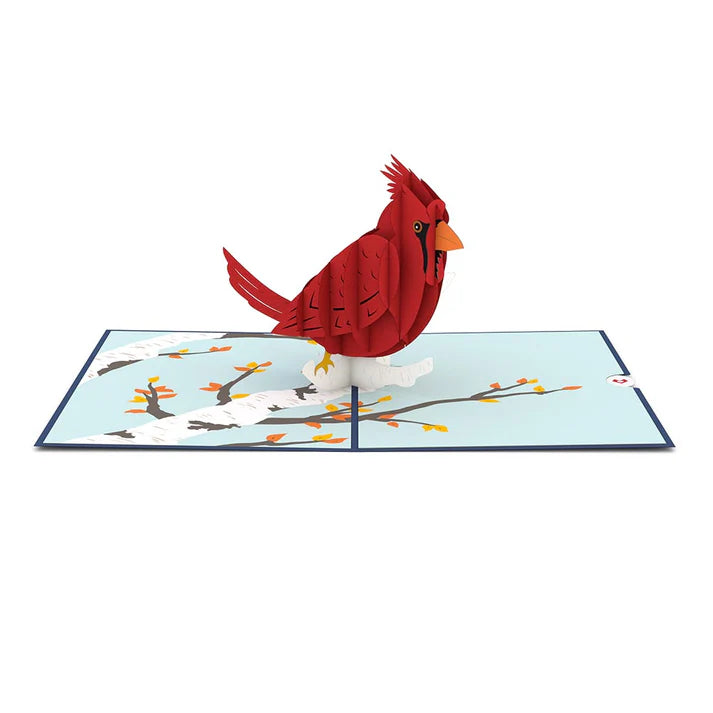 Cardinal Pop-Up Card