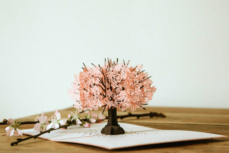 Cherry Blossom Tree Pop-Up Card