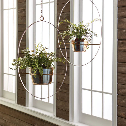 Boston Fern Rustic Drop In - Thumbnail 3