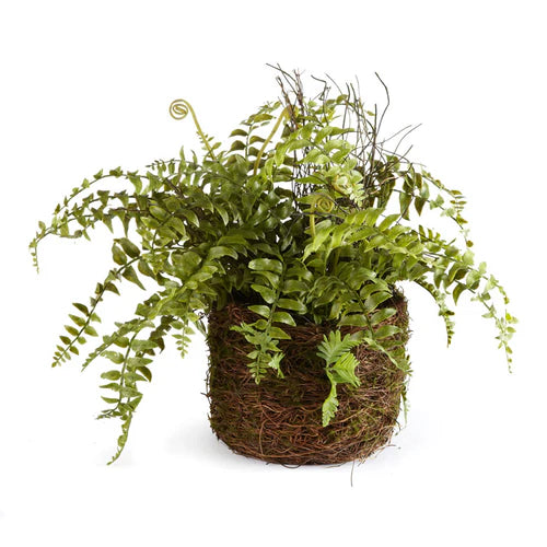 Boston Fern Rustic Drop In - Thumbnail 2
