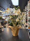 Orchid Arrangement in Teak Flow Indoor-Outdoor Bowl, Natural