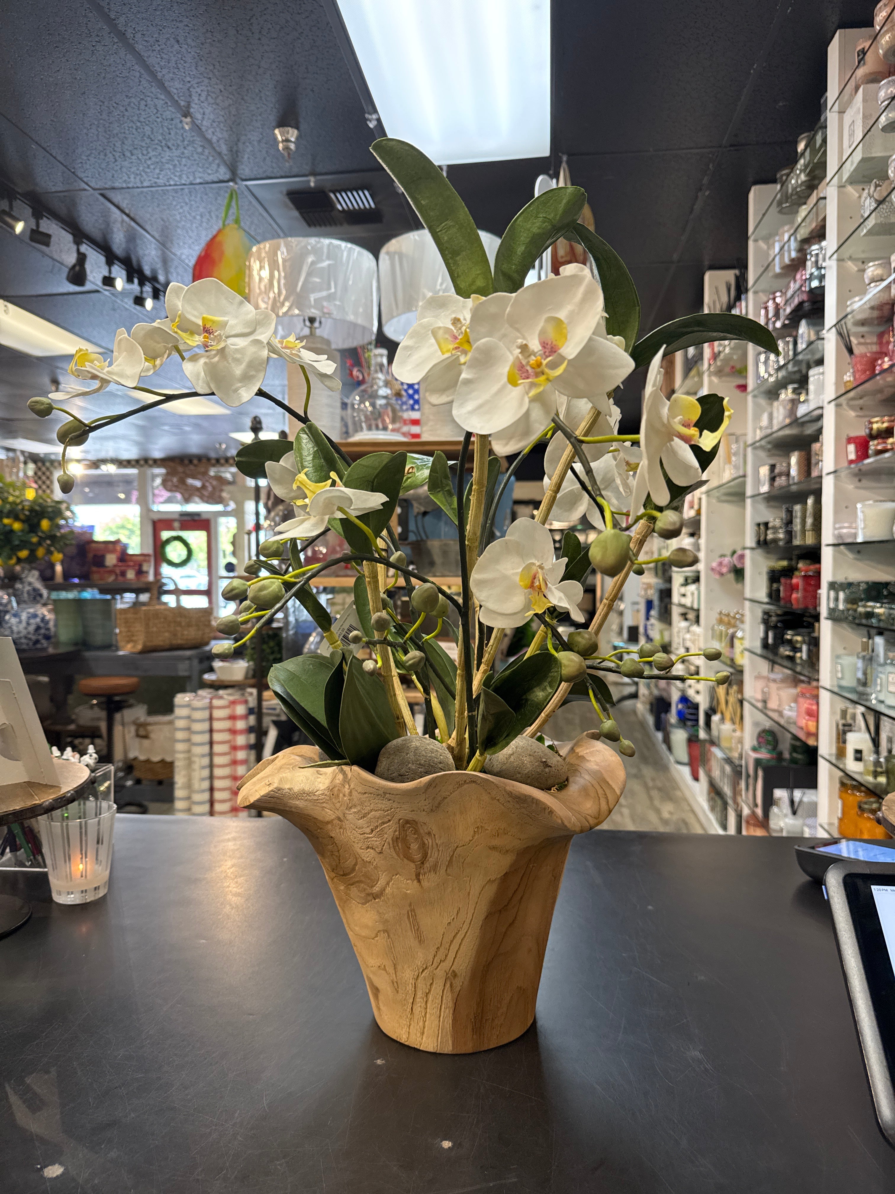 Orchid Arrangement in Teak Flow Indoor-Outdoor Bowl, Natural