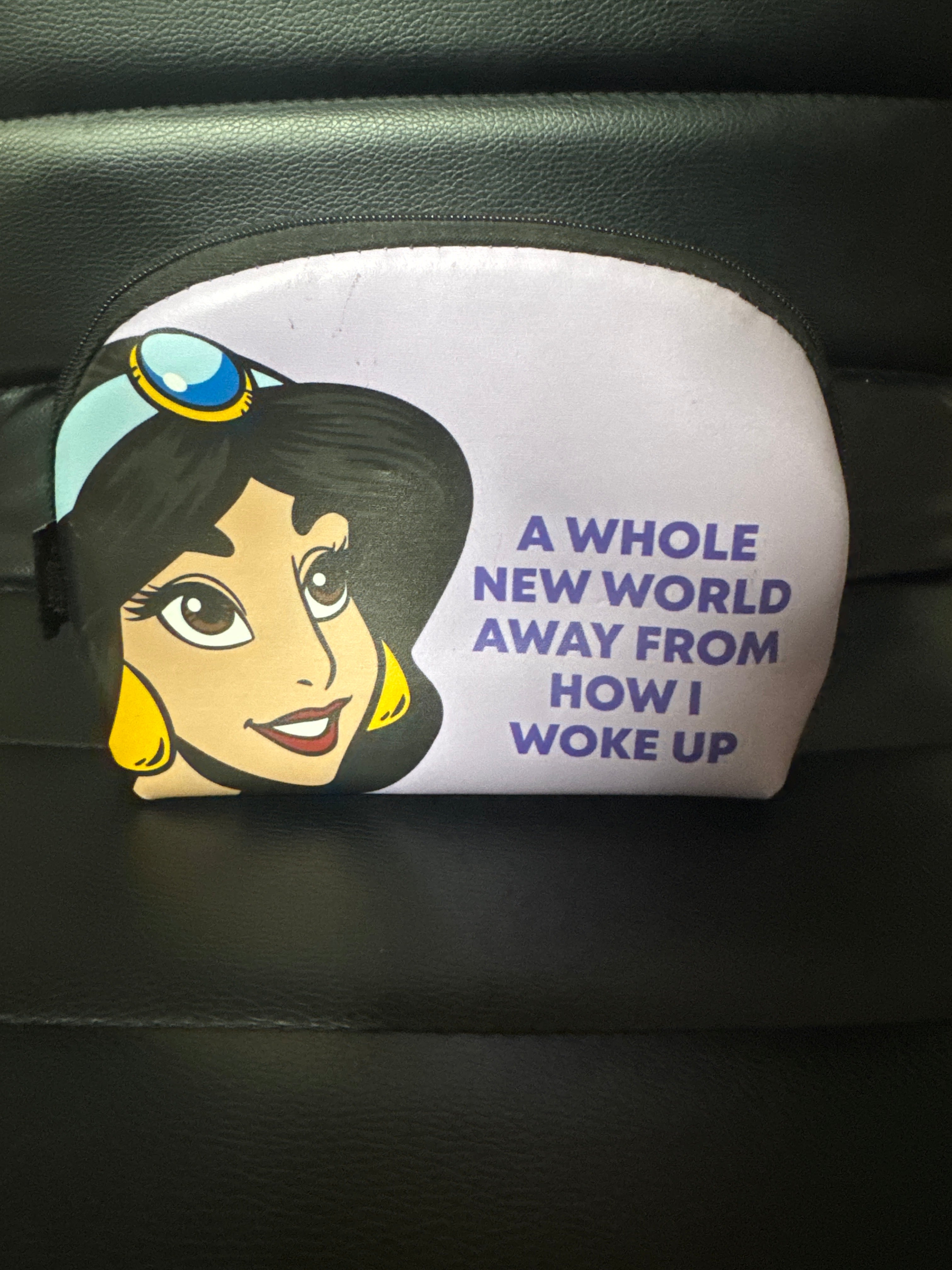 Disney POP Princess Cosmetic Bag