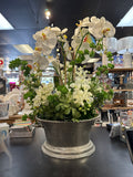 Custom Silver Bucket Orchid Arrangement
