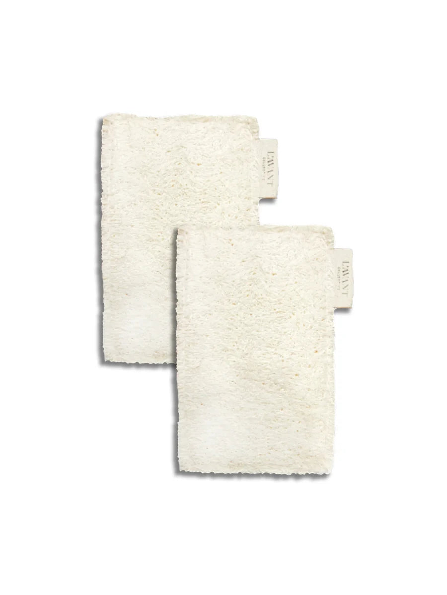 Eco-Friendly Dish Sponges - Set of 2