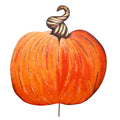Yard Velvet Pumpkin