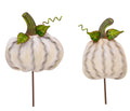 Small Ribbon Pumpkin Cream