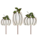 Medium Ribbon Pumpkins Cream Large