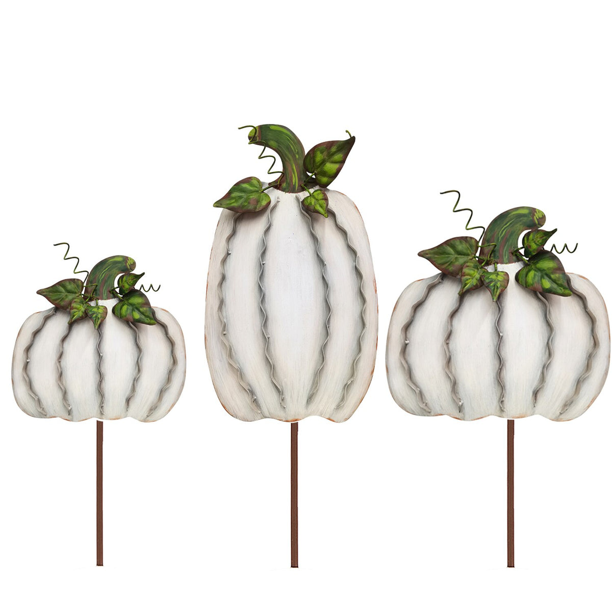 Medium Ribbon Pumpkins Cream Large