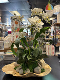 Organic Embrace Indoor-Outdoor Bowl Orchid Arrangement