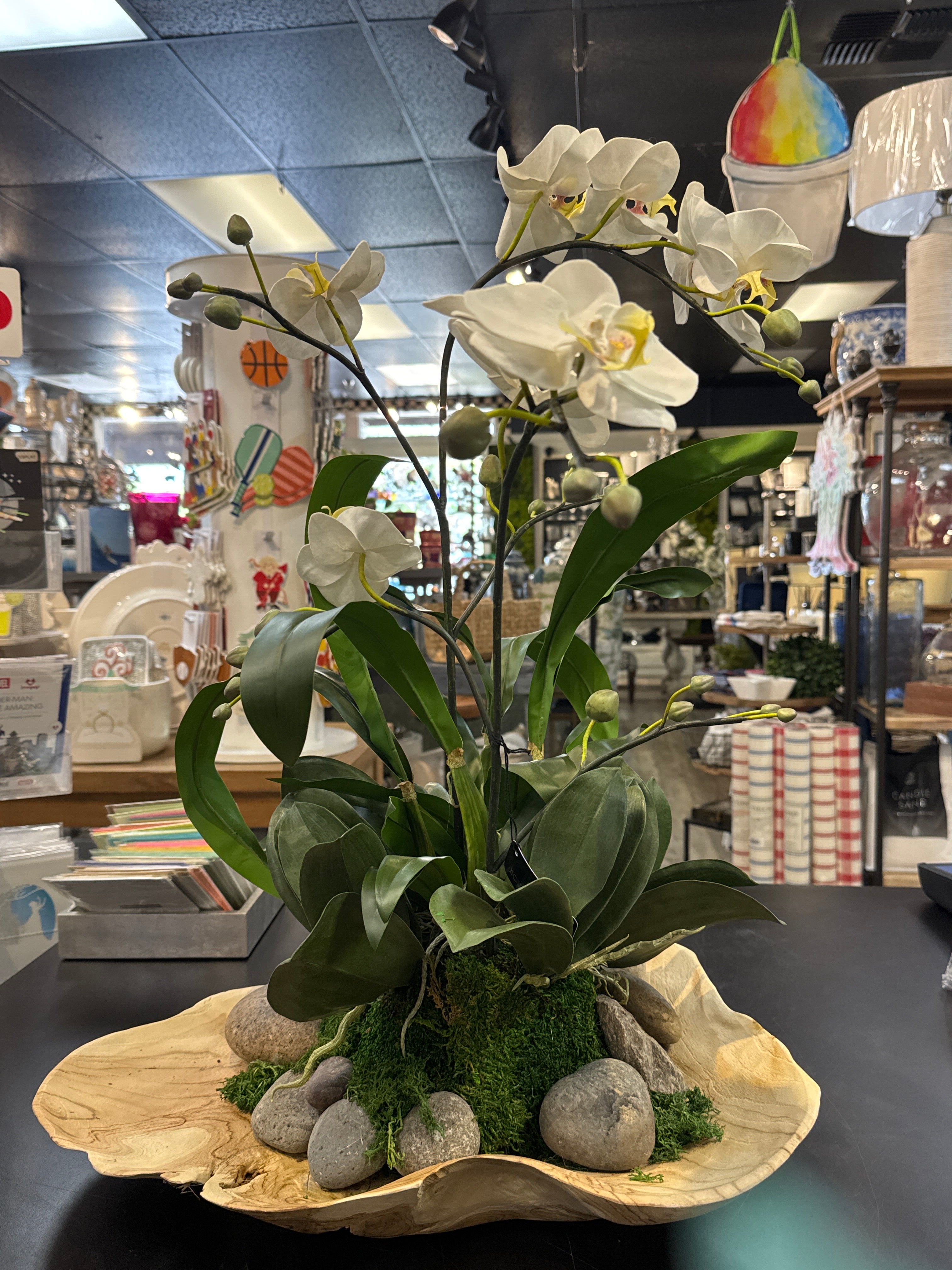 Organic Embrace Indoor-Outdoor Bowl Orchid Arrangement