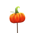 Lil' Punkin