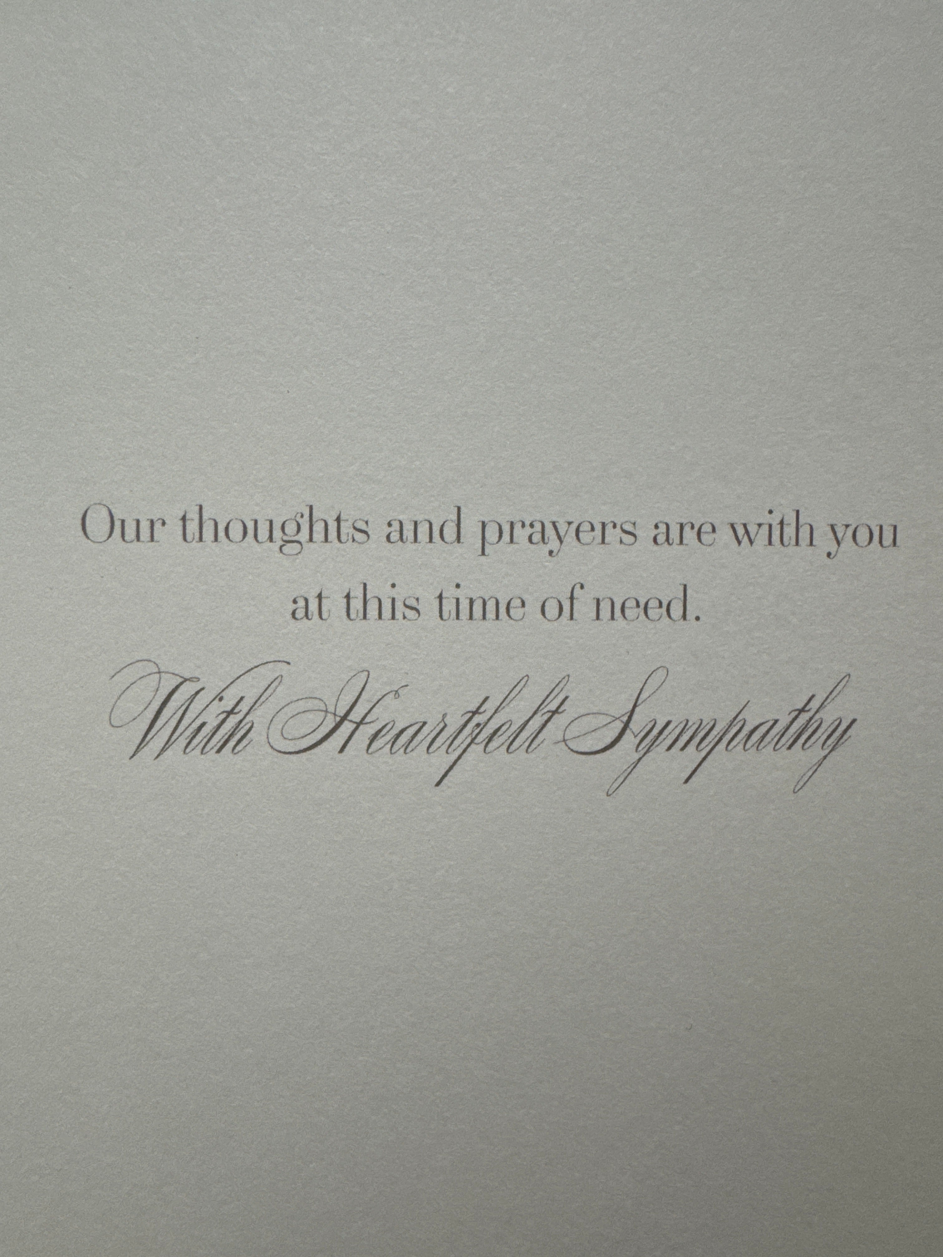 Pink Rose Sympathy Card
