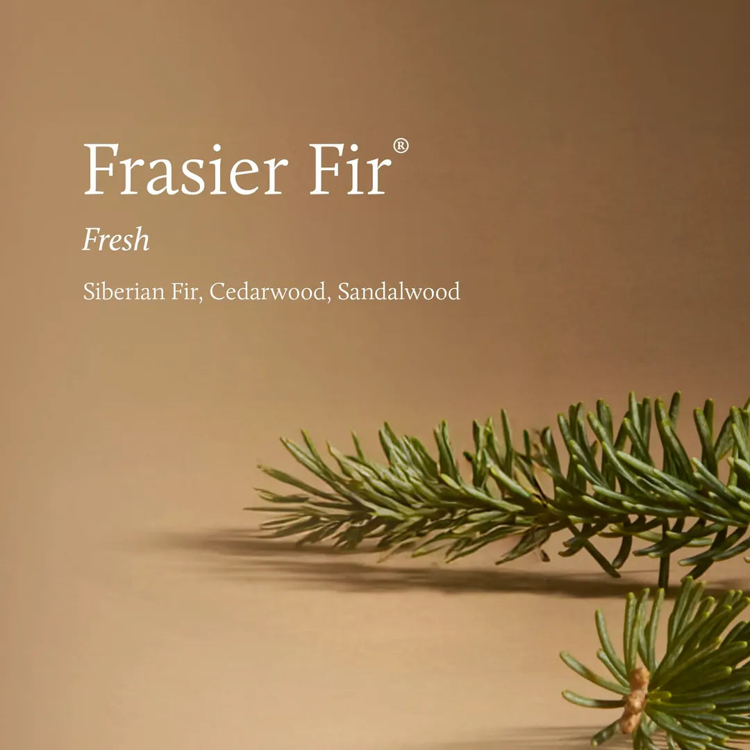 Frasier Fir® Tidings 4-Wick Statement Candle