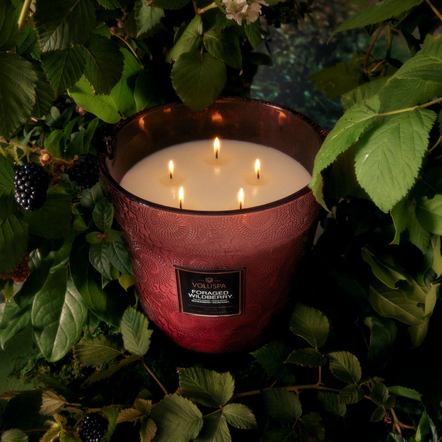 Foraged Wildberry 5 Wick Hearth