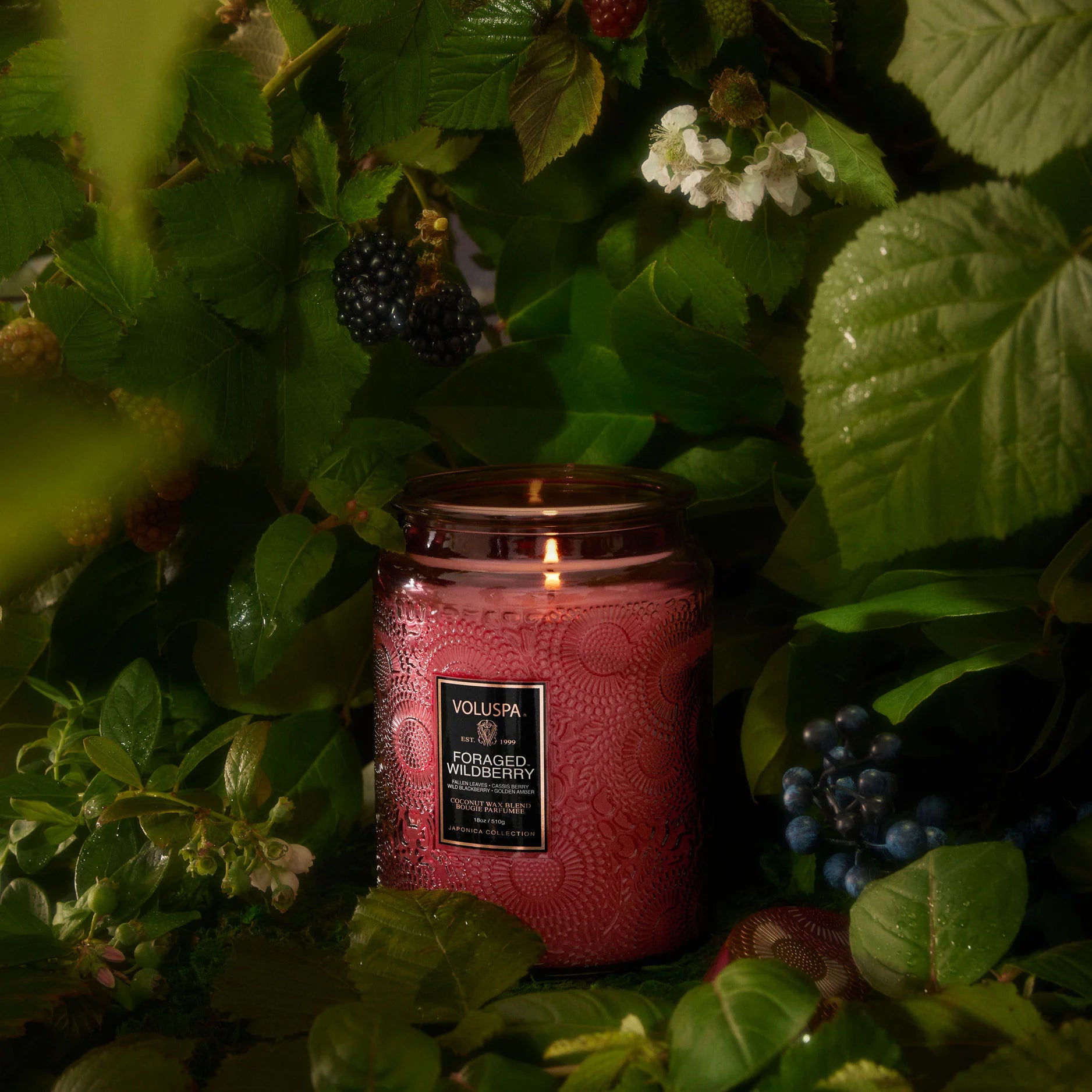 Foraged Wildberry Large Jar Candle