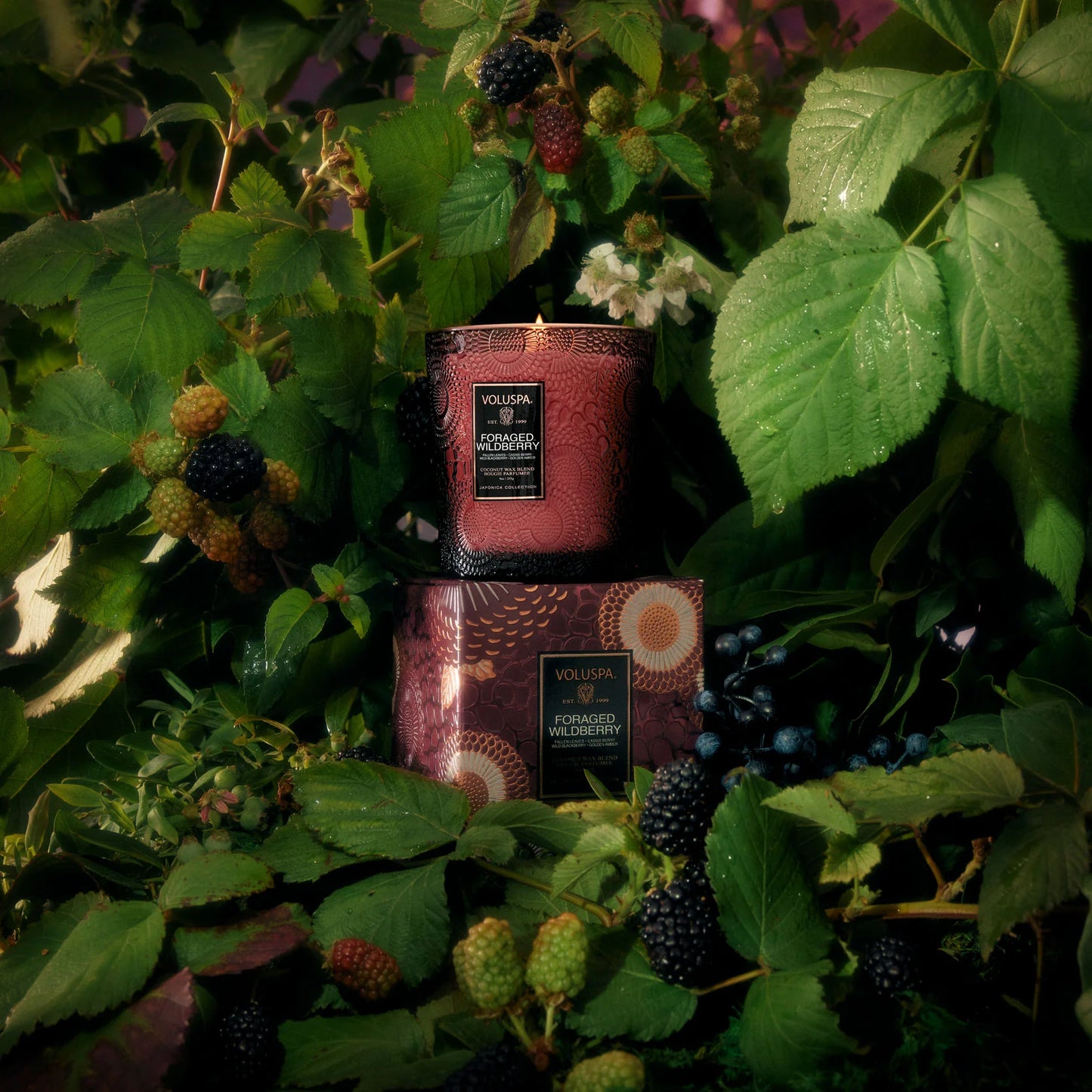 Foraged Wildberry 9oz Classic Candle