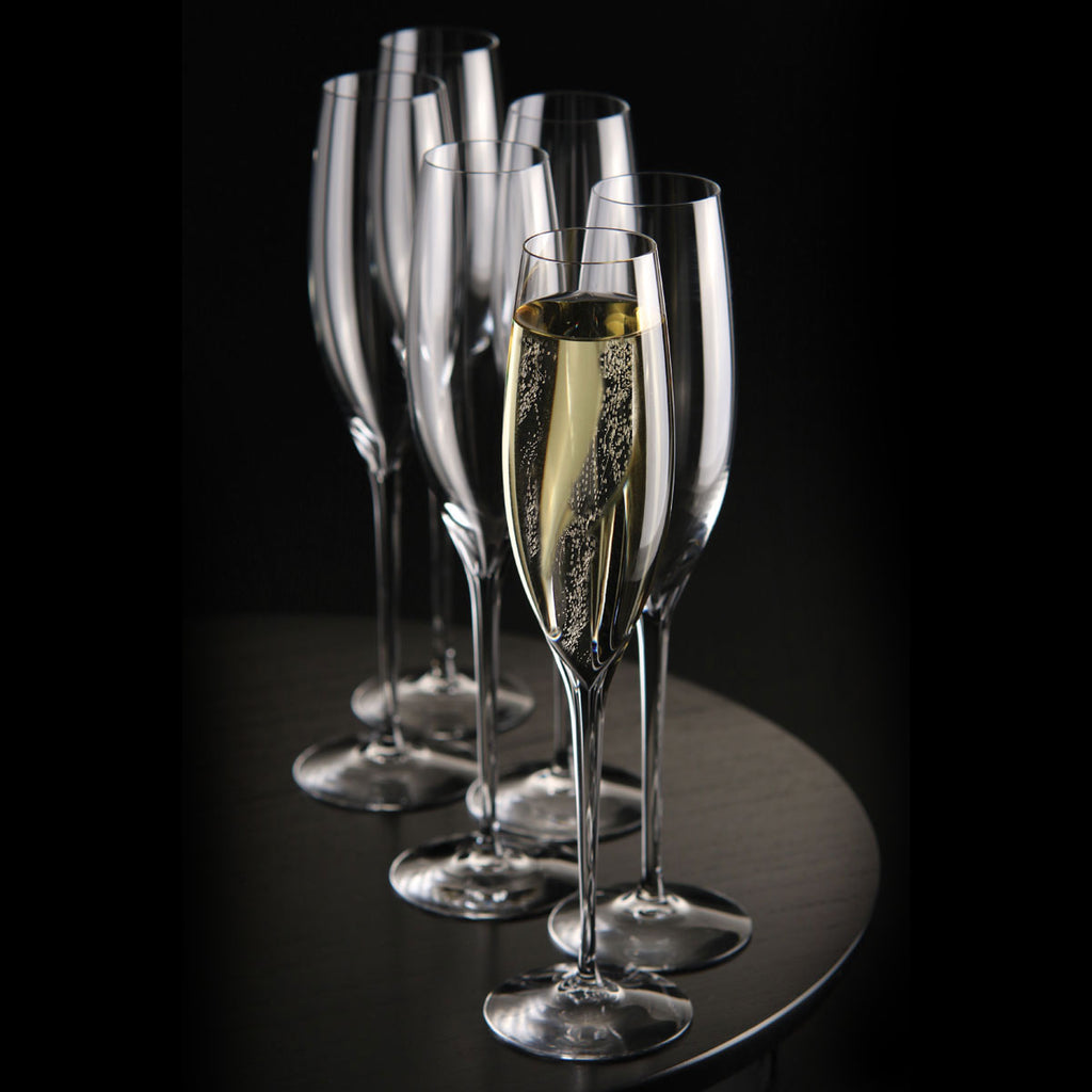 Elegance Champagne Classic Flute, Set of 6