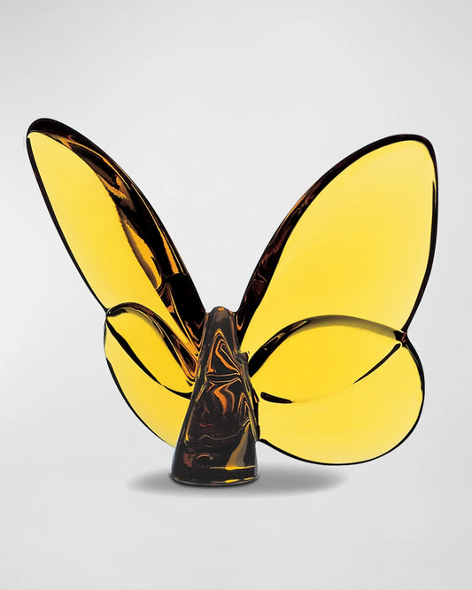 Papillon Lucky Butterfly, Amber